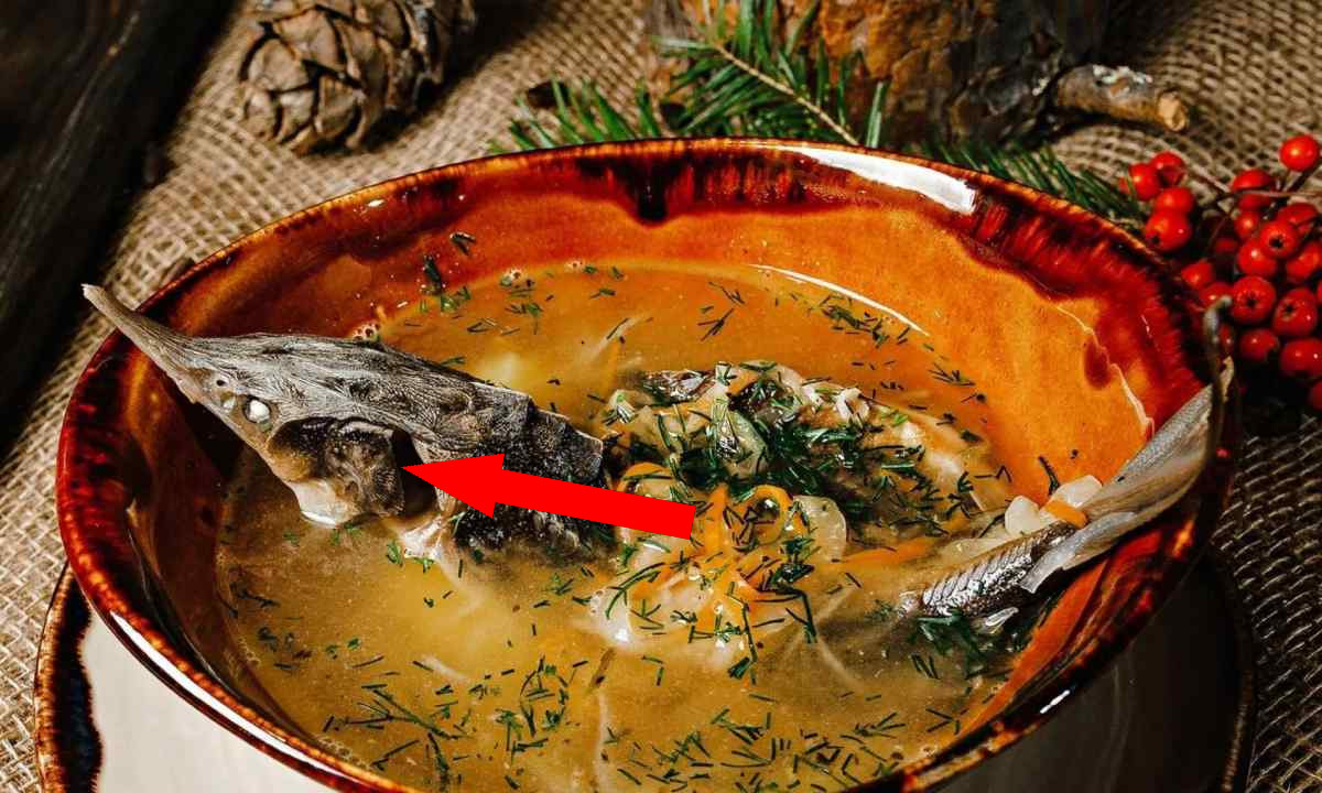 Корякский рыбный суп, который объединяет поколения