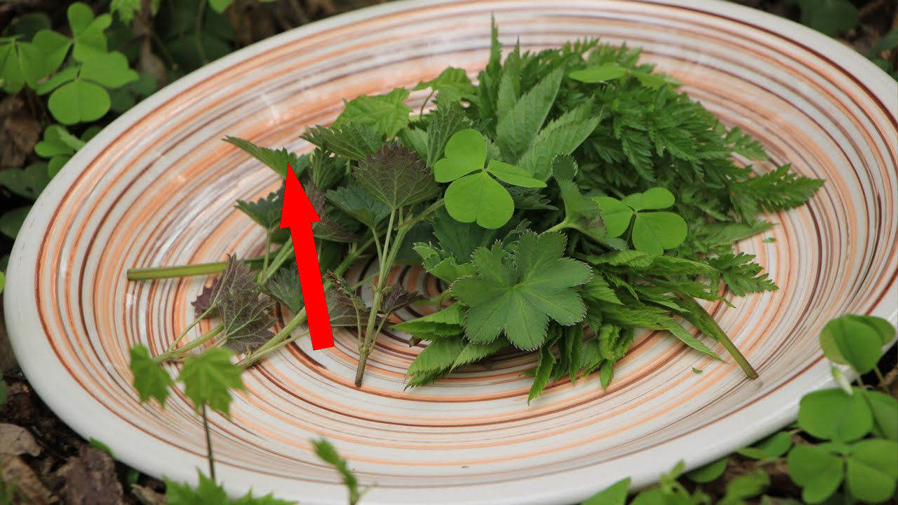 Сорняки на обед