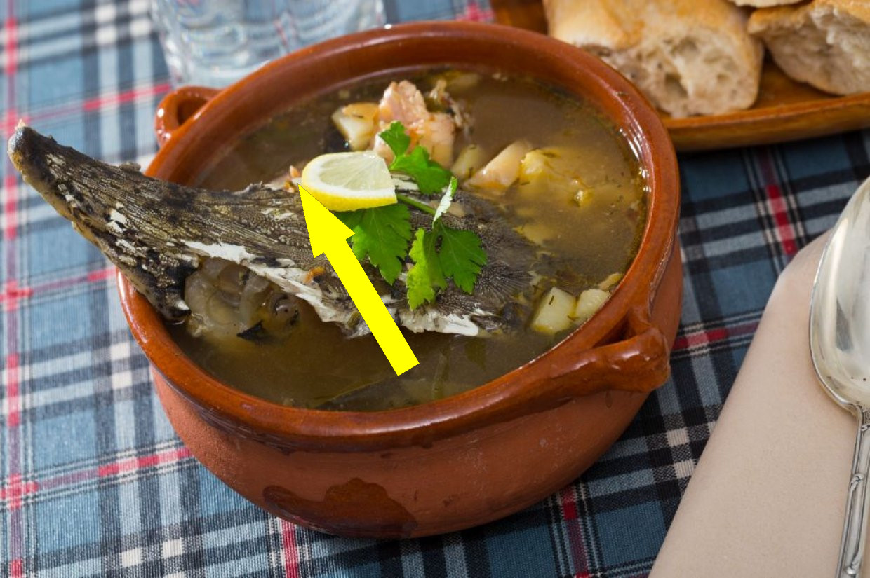 Секреты идеальной русской ухи от поморов до казаков