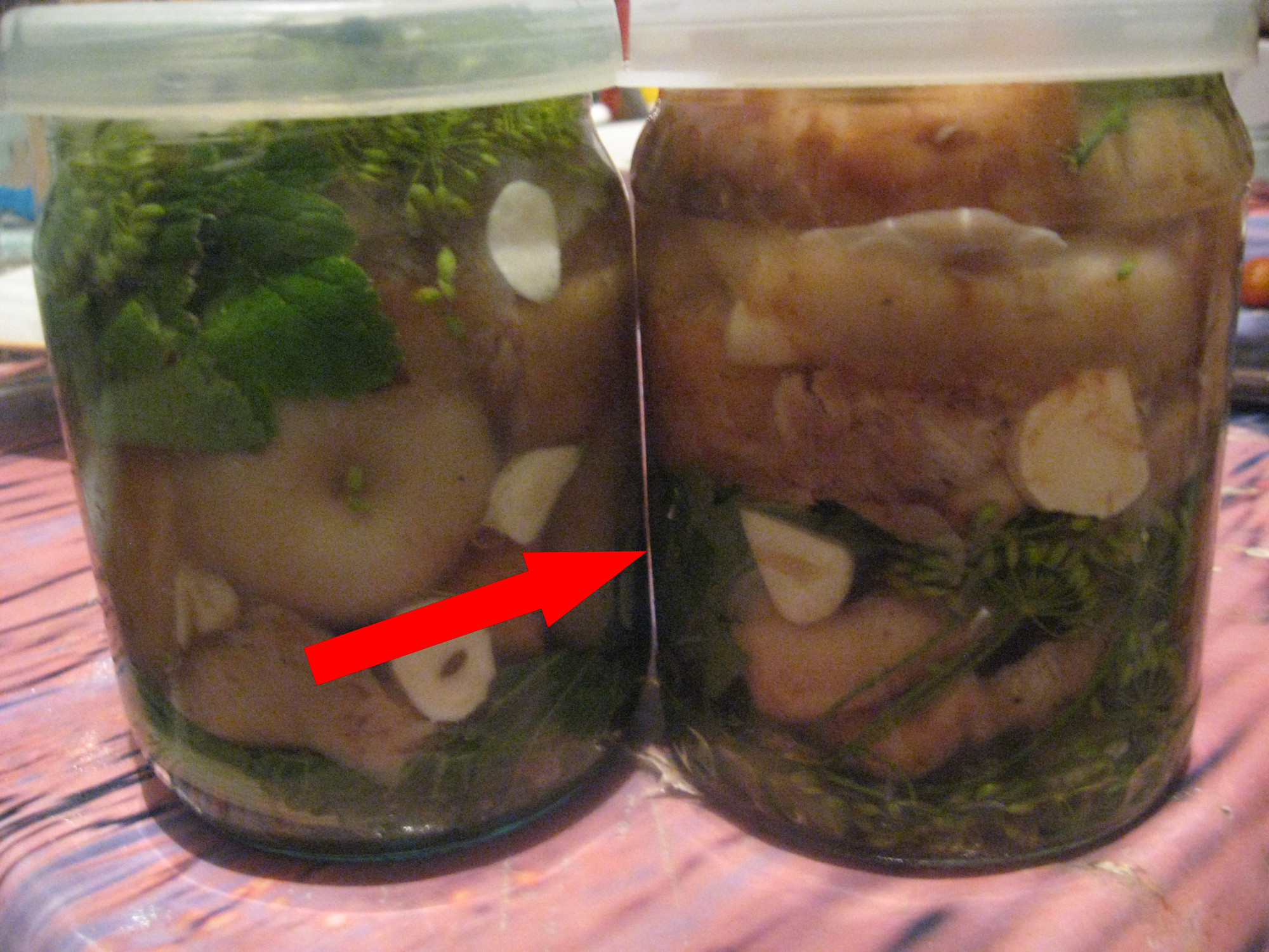 Секреты сибирской засолки груздей в дубовой кадке