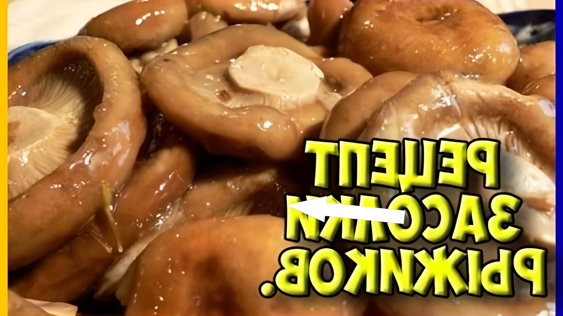 Секретный рецепт солёных рыжиков из Архангельска раскрыт