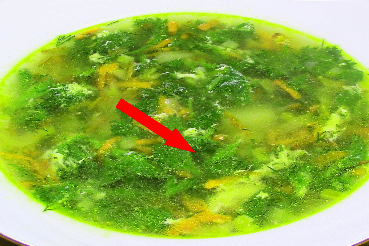 Весенние щи из крапивы возвращают силу древних славян