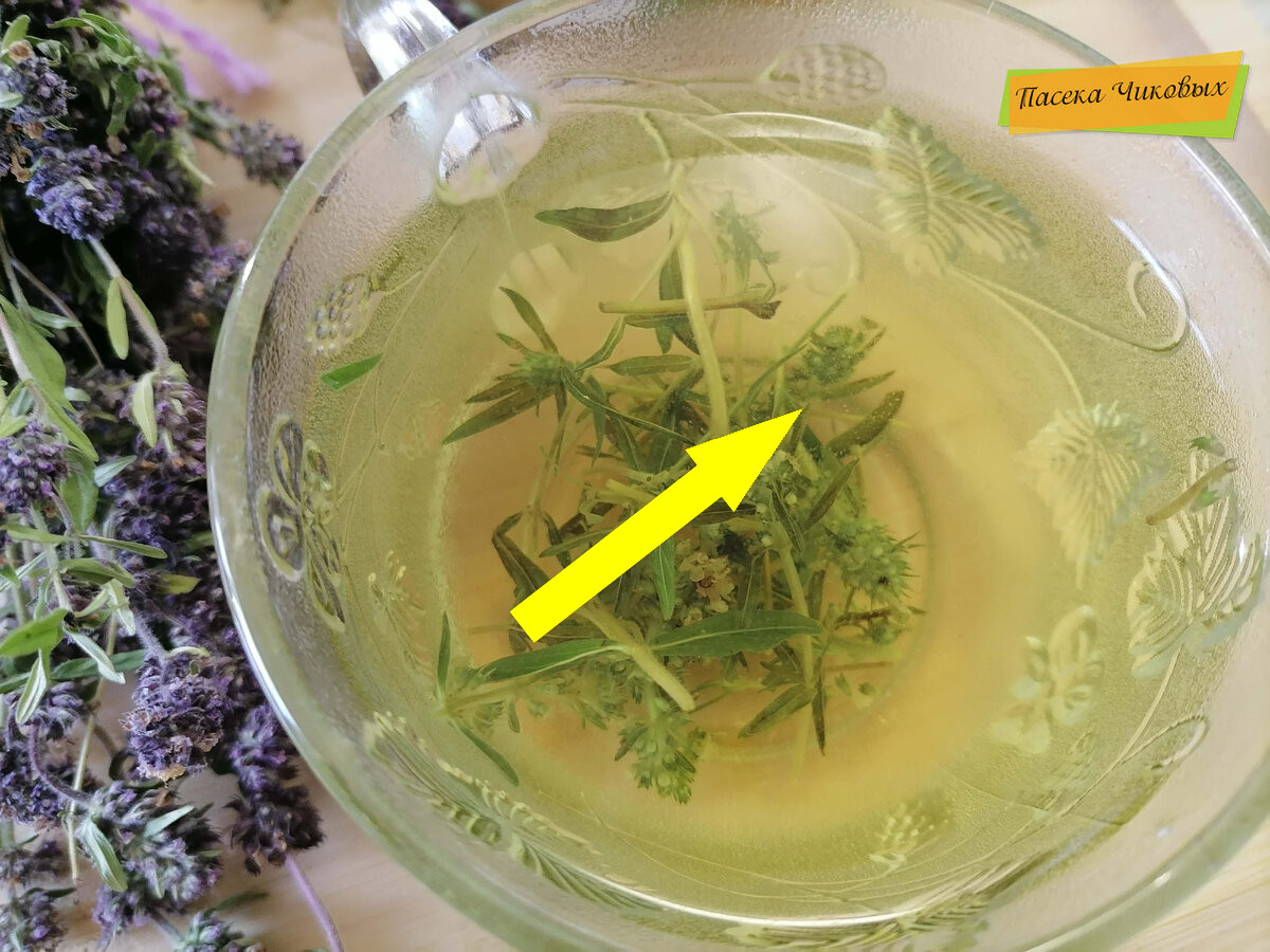 Этот рецепт холодного чая с чабрецом взорвал TikTok — попробуйте и вы