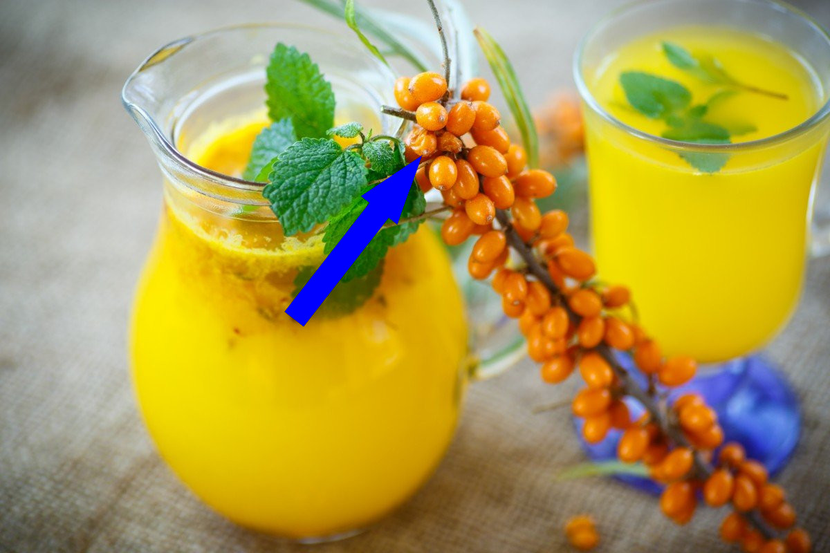 Облепиховый смузи с медом — секрет сибирского долголетия