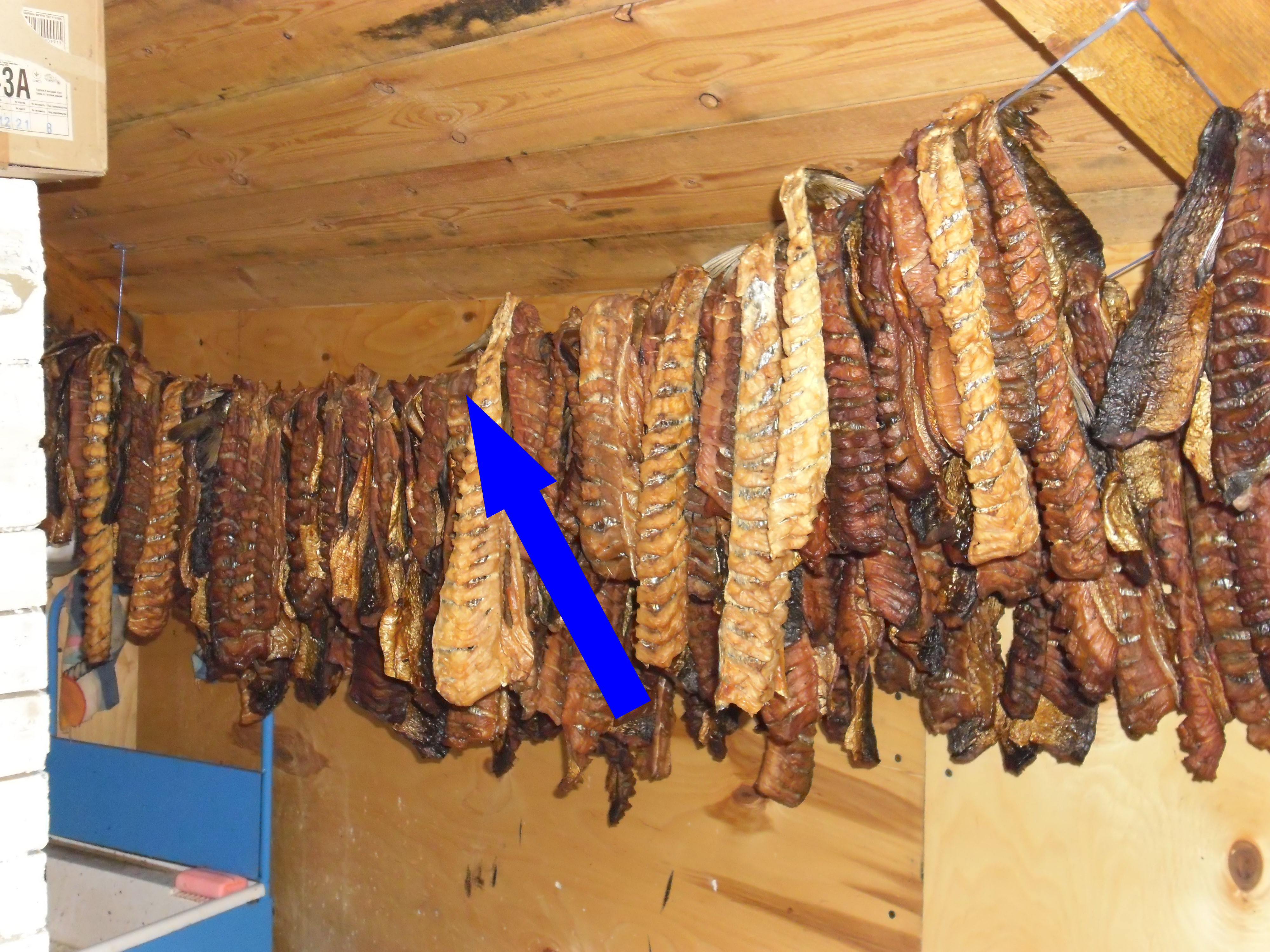 Эвенкийская юкола — секрет вяленой рыбы с ягодным взрывом