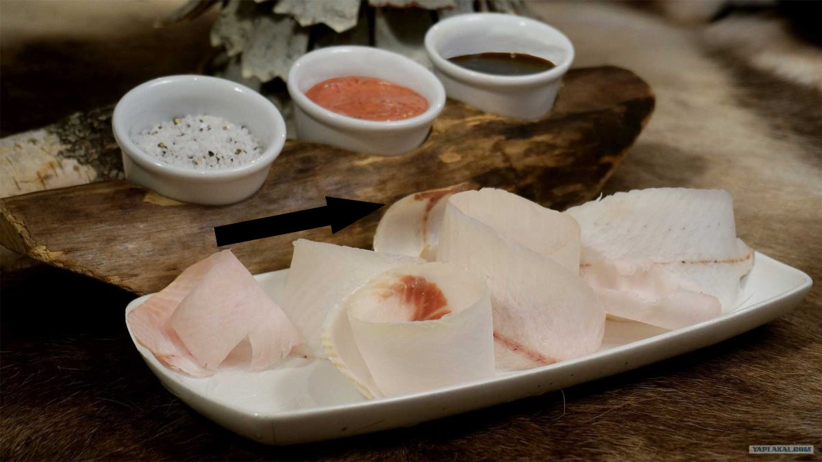 Секреты ямальской строганины из муксуна с диким луком