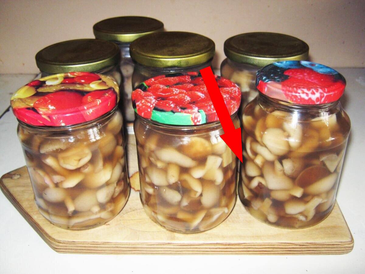 Секрет сибирских бабушек – маринованные опята без стерилизации