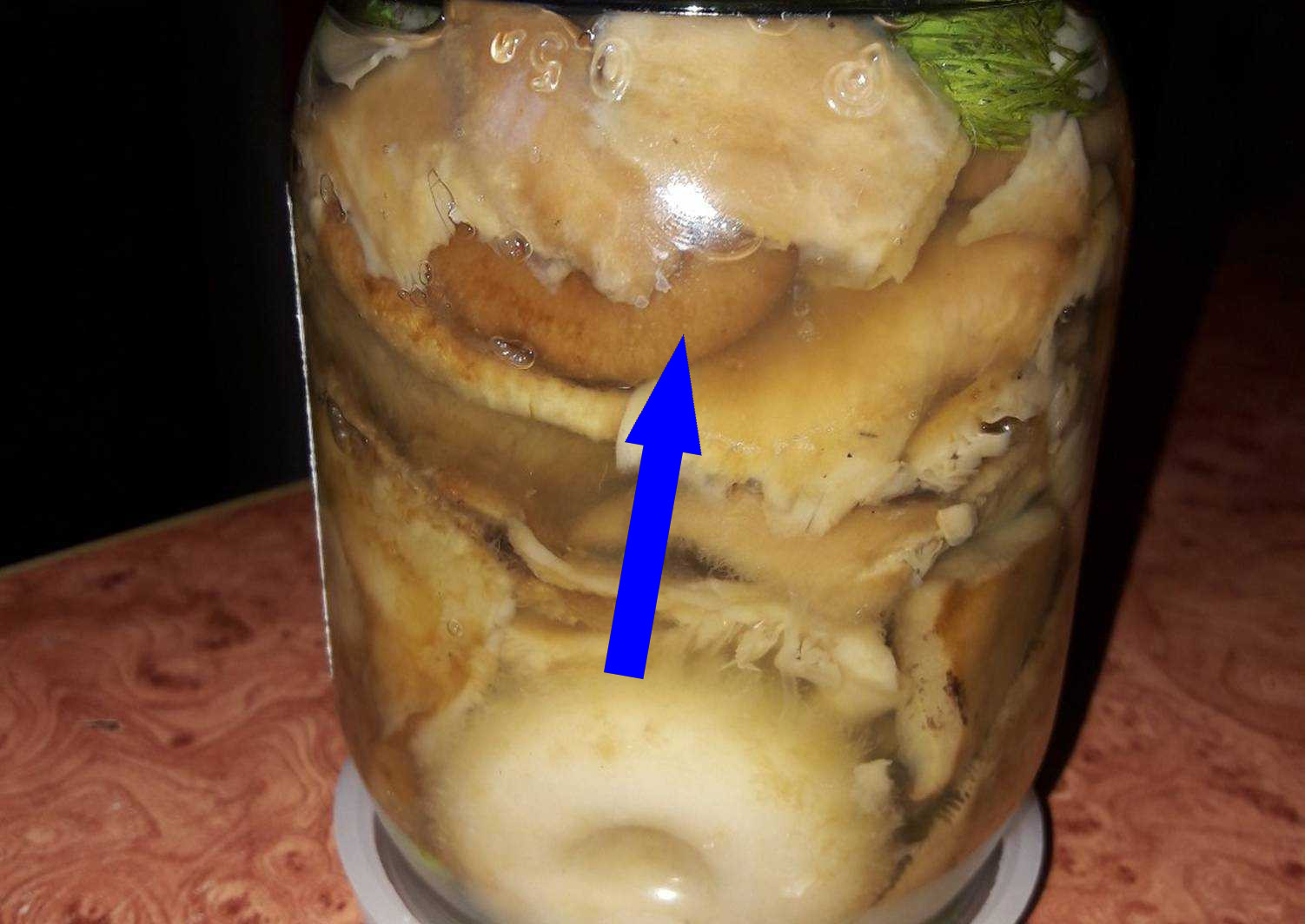 Солёные грузди в тыкве — секрет русской ферментации без гнёта