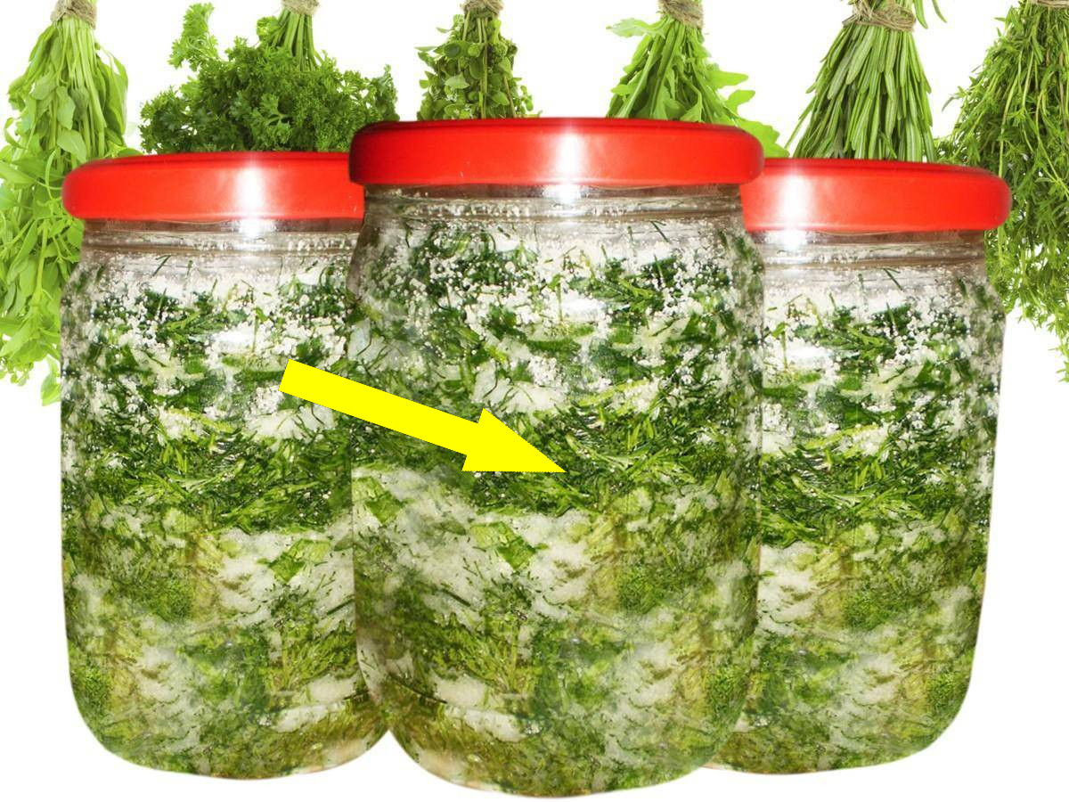 Секрет шеф-поваров сушёная зелень в масле сохраняет аромат годами