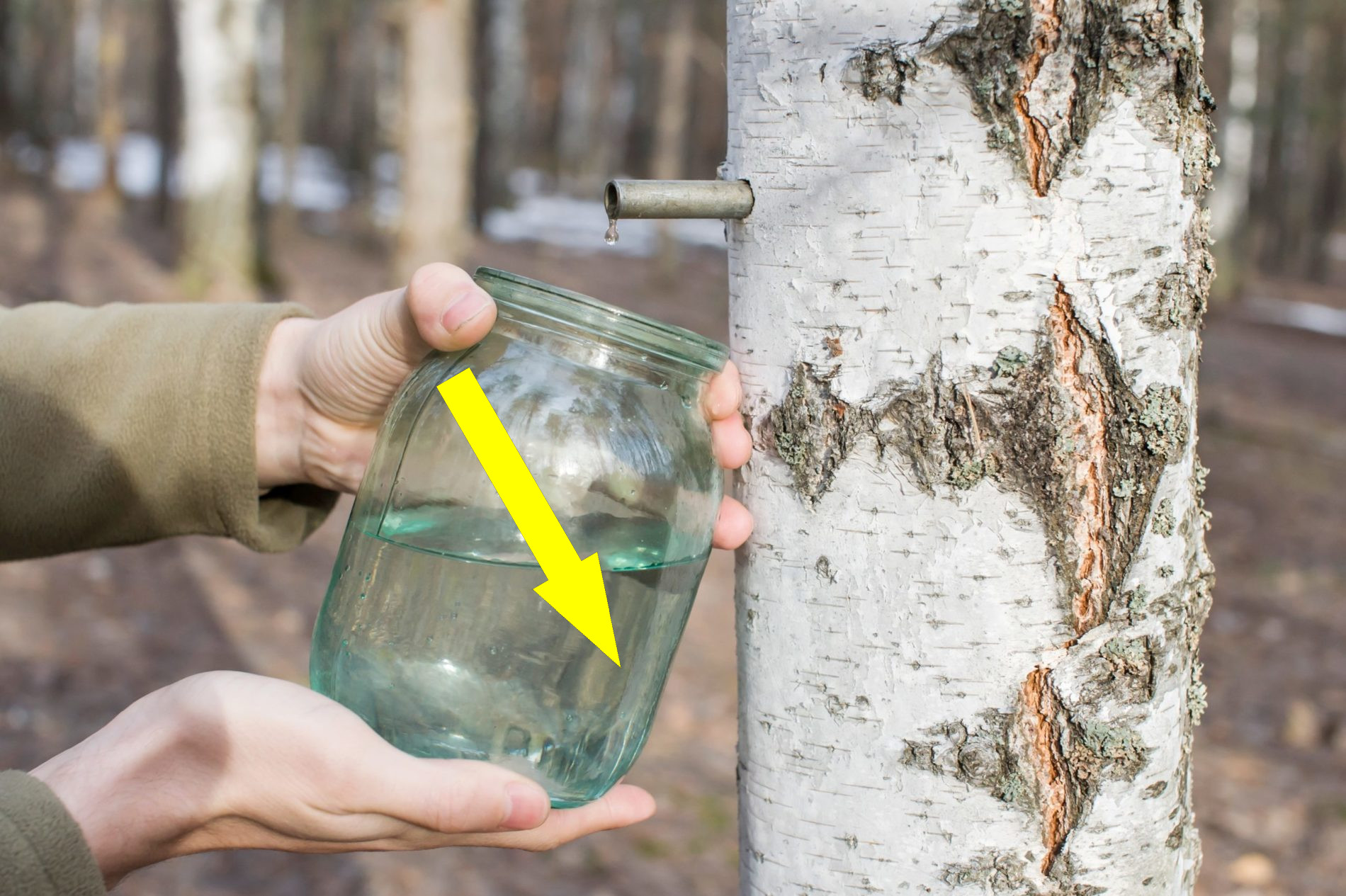 Этот напиток выводит токсины лучше дорогих БАДов