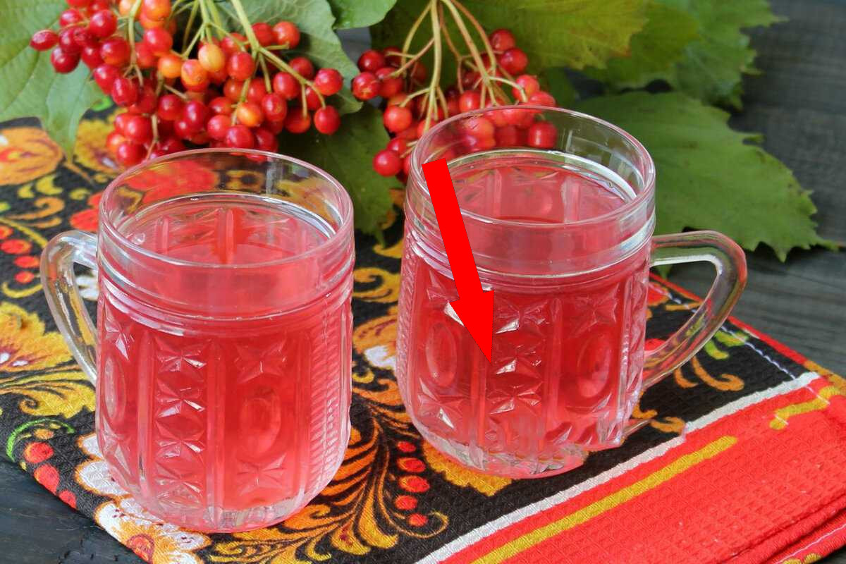 Этот забытый морс из рябины и яблок взорвал мой блог
