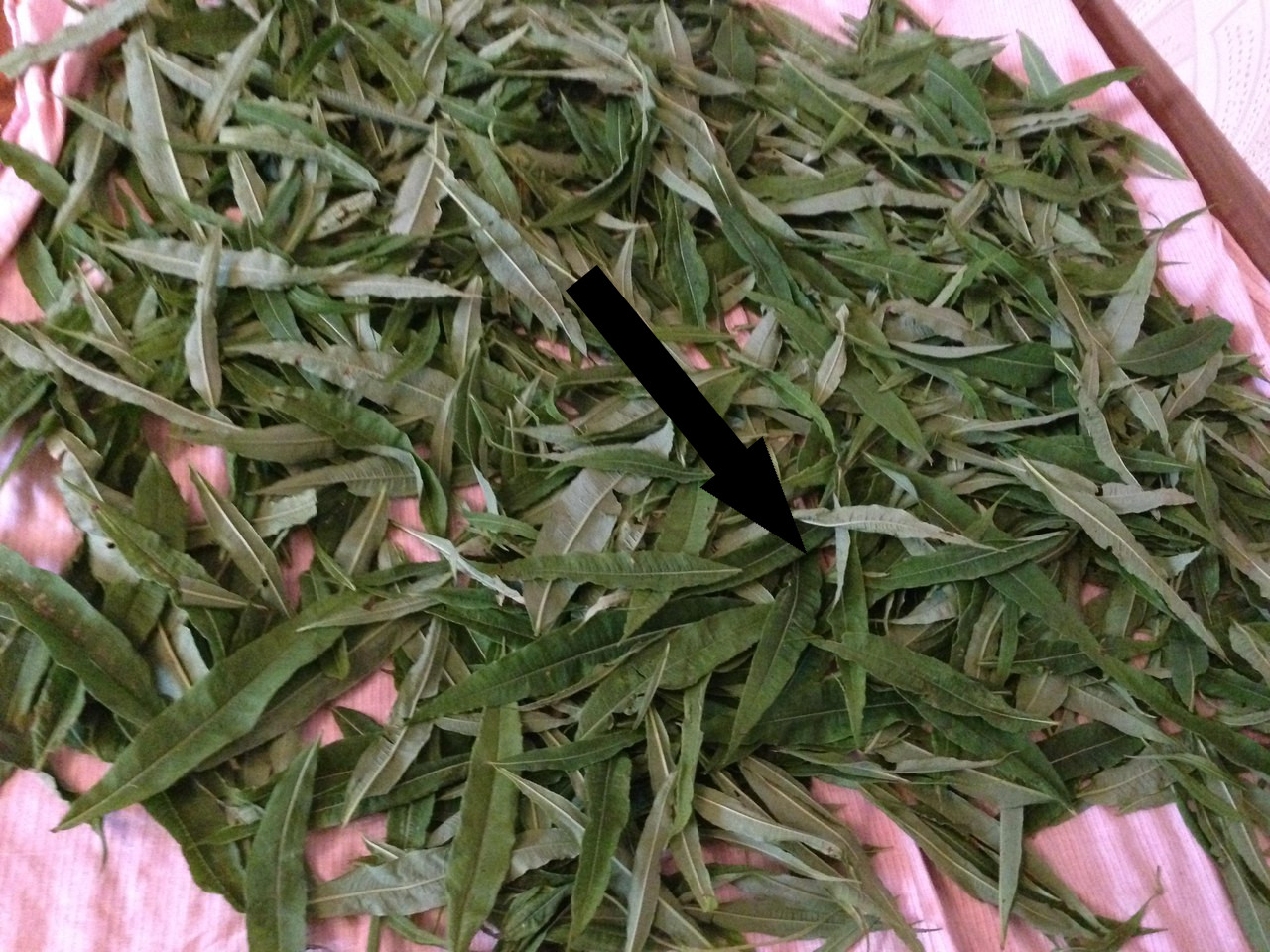 Тайный рецепт старообрядцев как ферментировать иван-чай в домашних условиях