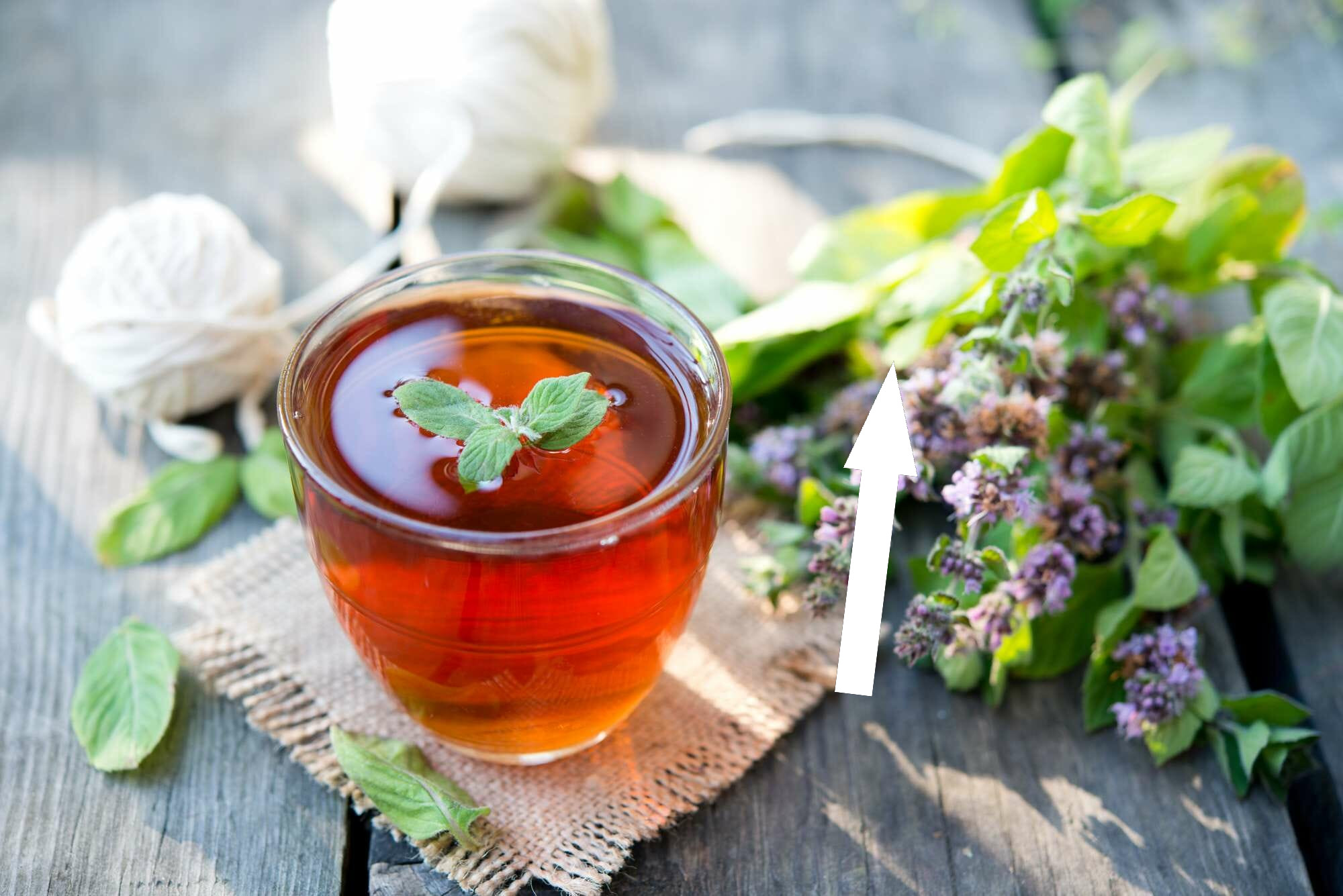 Тайный рецепт бабушкиной аптеки — чай с душицей и зверобоем