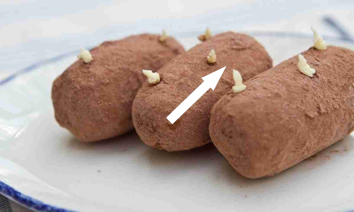 Секрет советского десерта пирожное «Картошка» из сухарей и какао