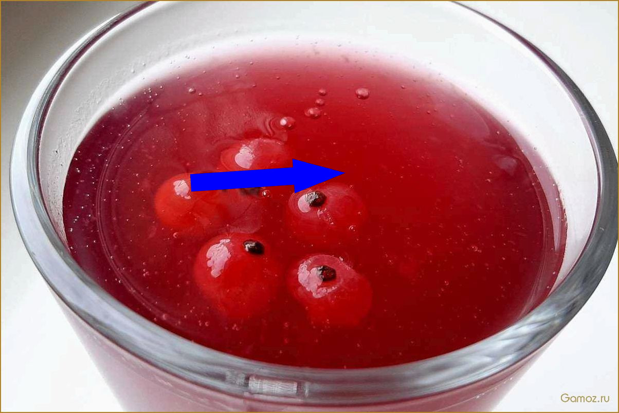 Этот клюквенный кисель заставит вас забыть о магазинных десертах