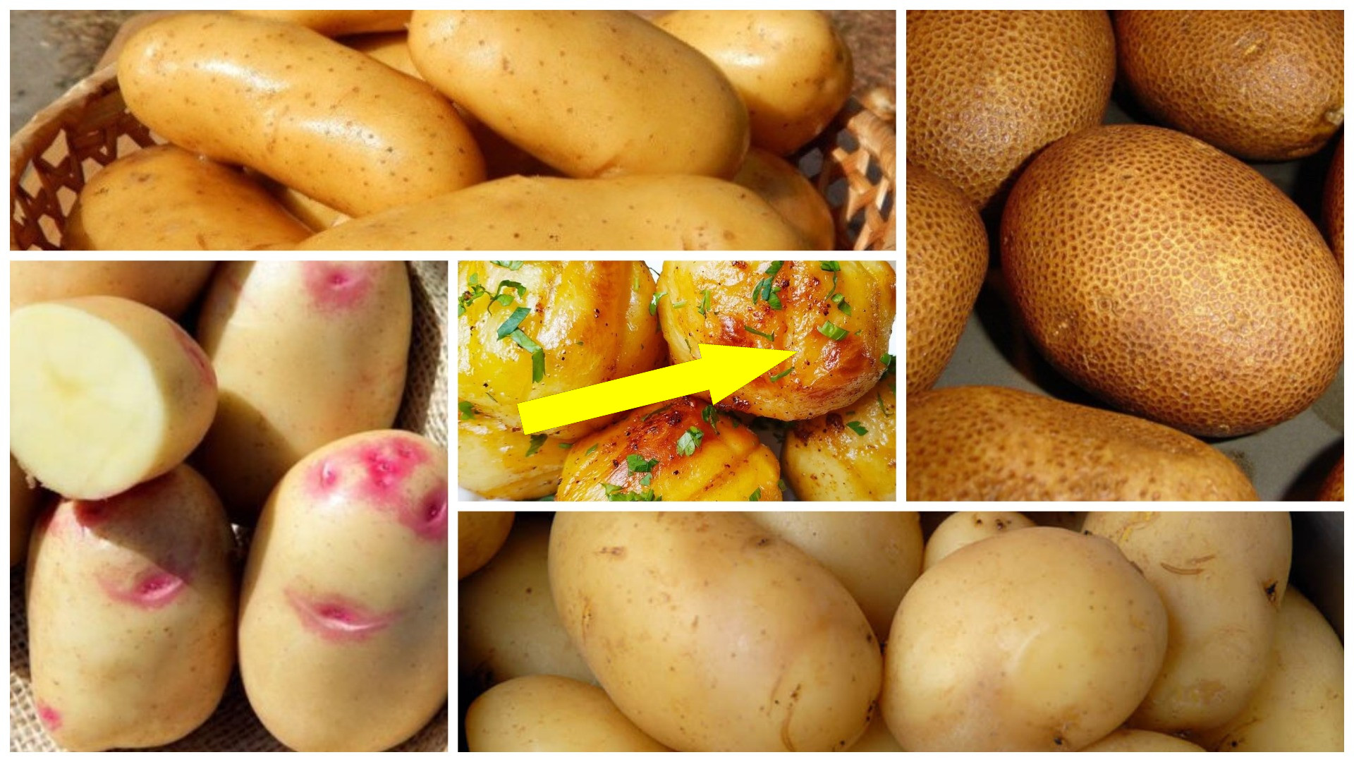 Тайна синего картофеля и как вернуть ему аппетитный вид