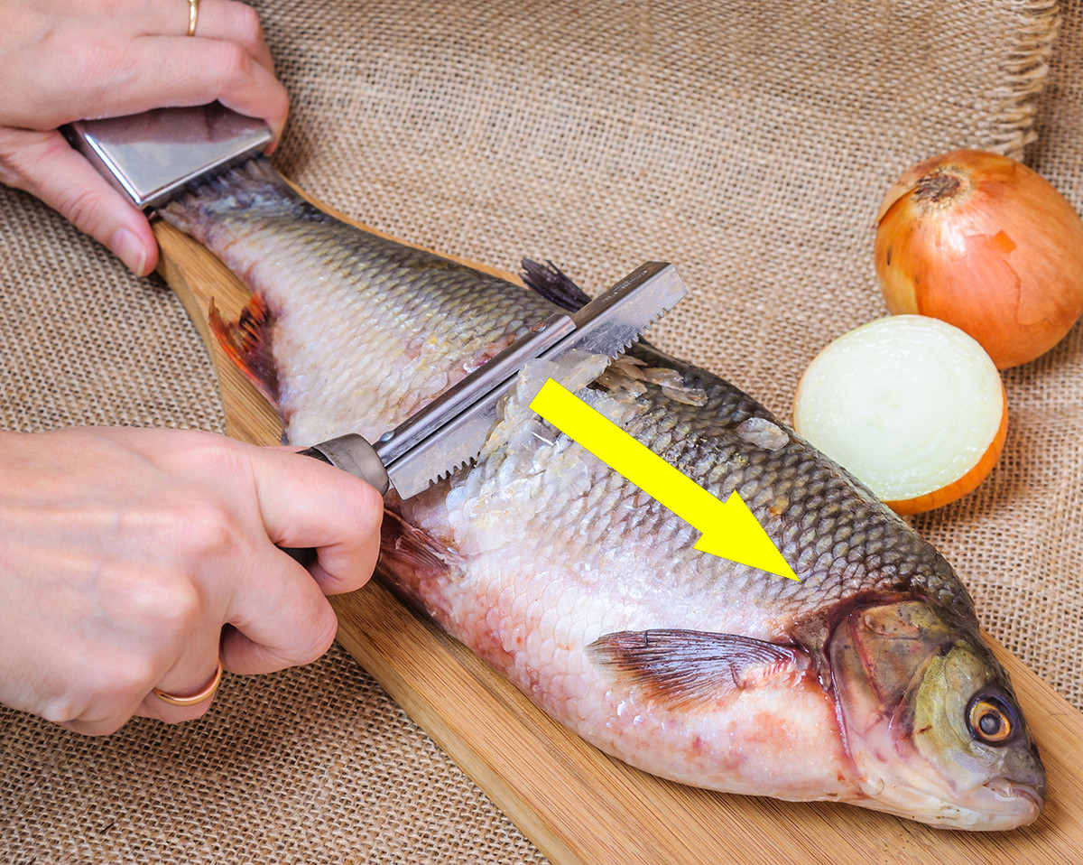 Рыбу можно чистить за 30 секунд если забыть про нож