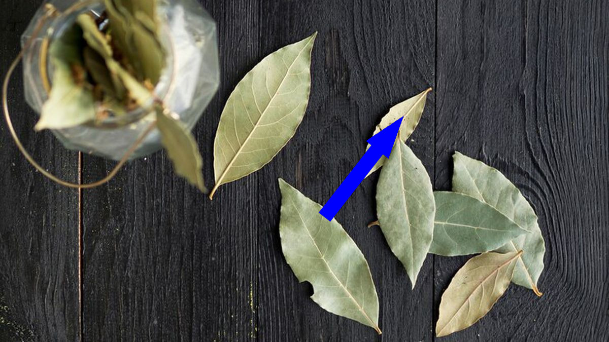 Секретный ингредиент для идеальной крупы — лавровый лист