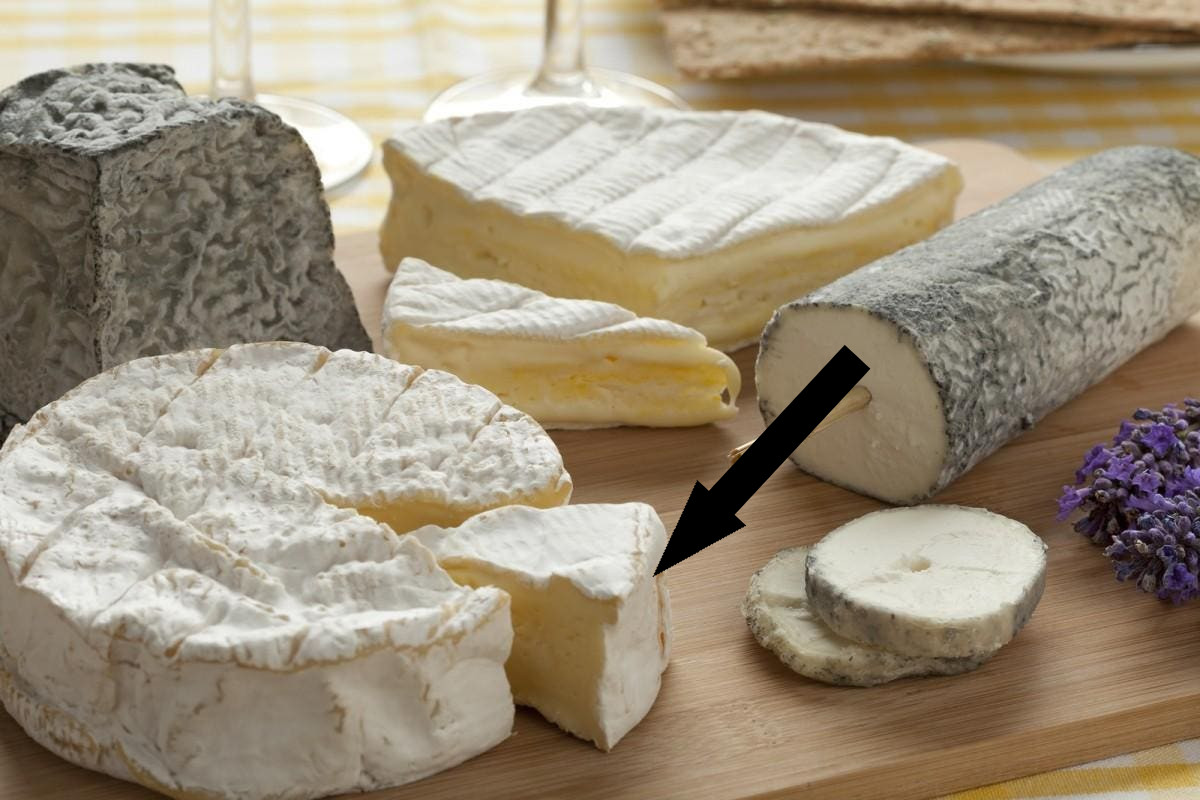 Секреты хранения сыра без плесени раскрыты