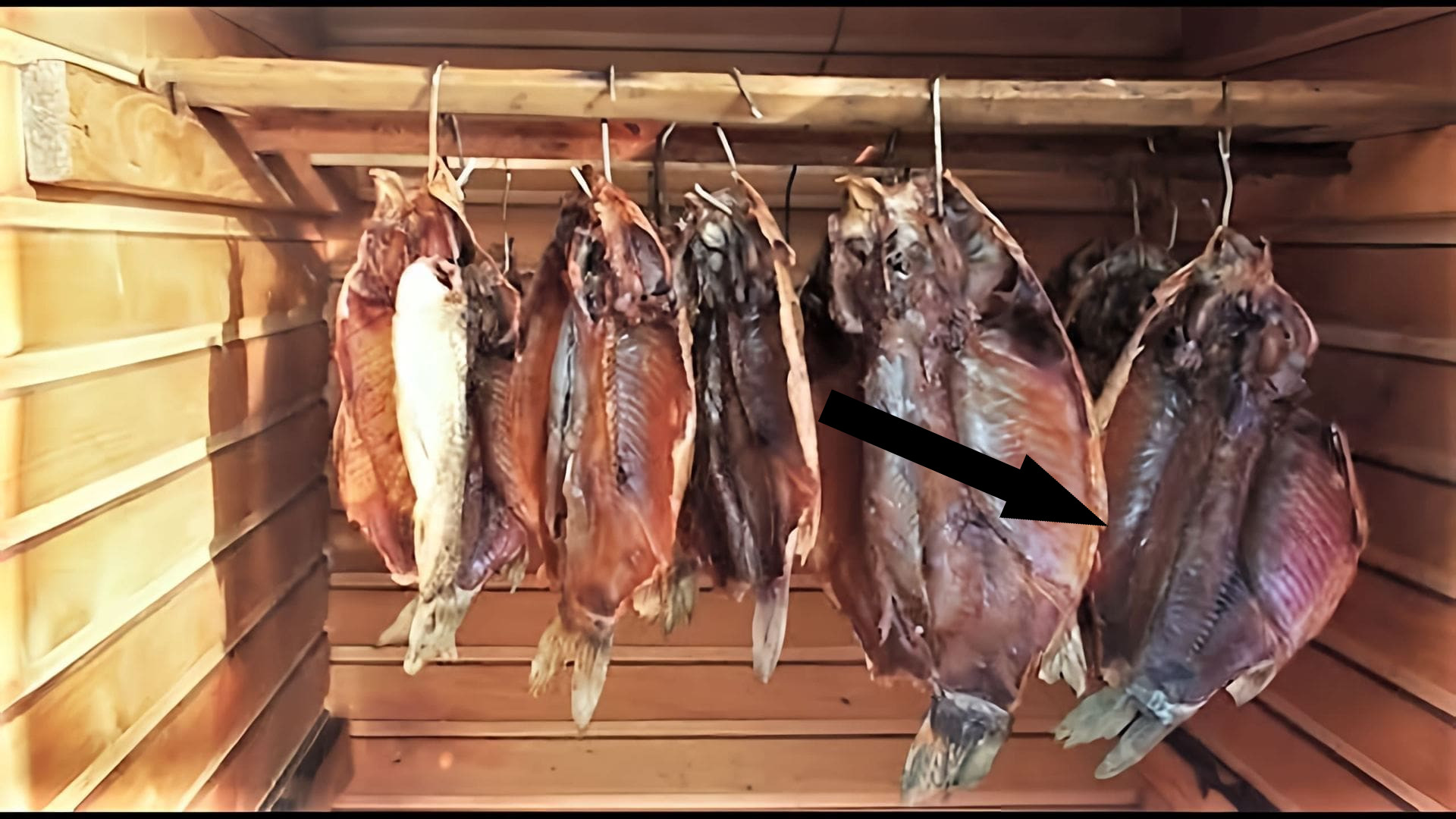 Секрет сибирских рыбаков как сёмга на кедровых досках покорила Michelin