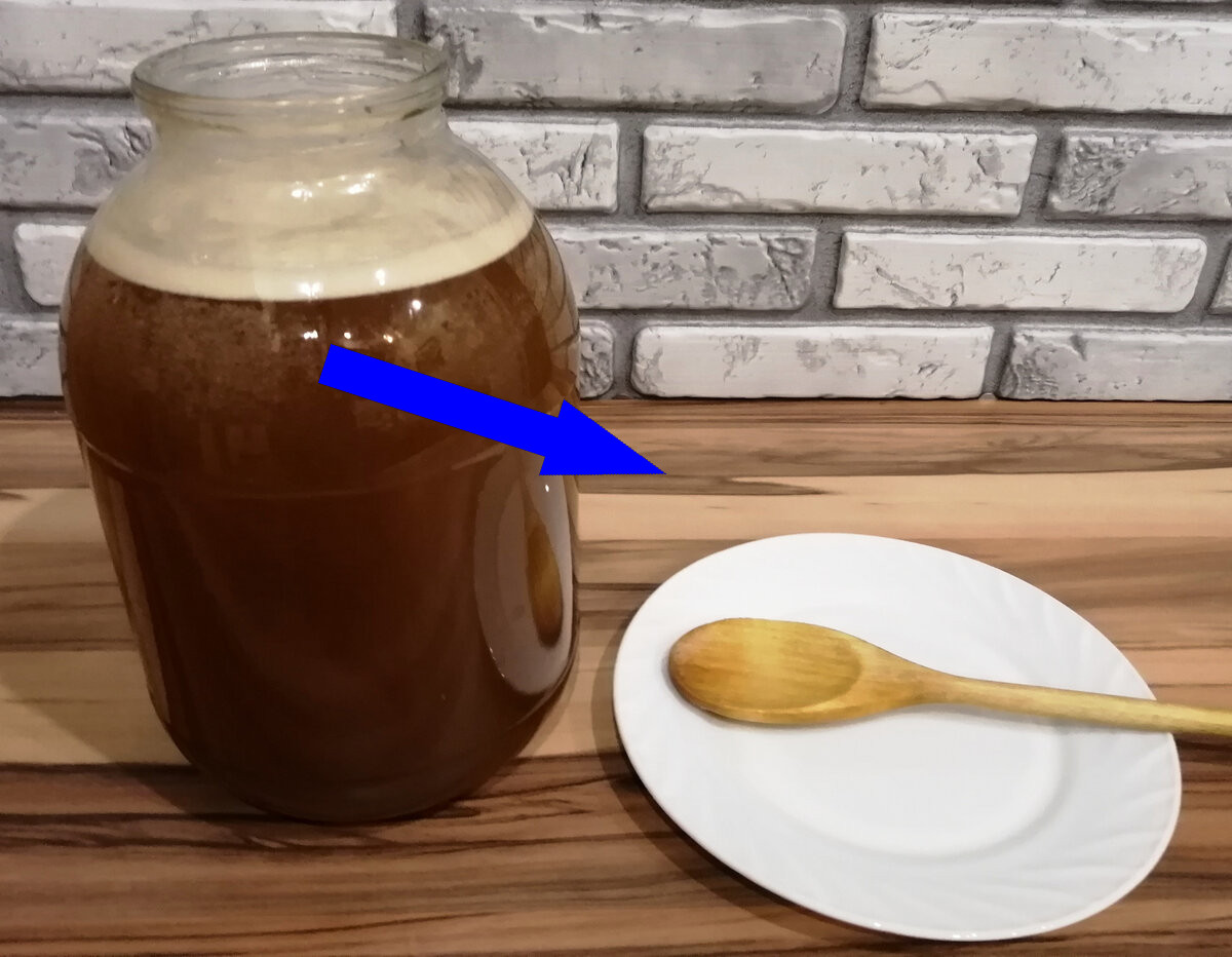 Квас в йогуртнице за 8 часов – миф или реальность