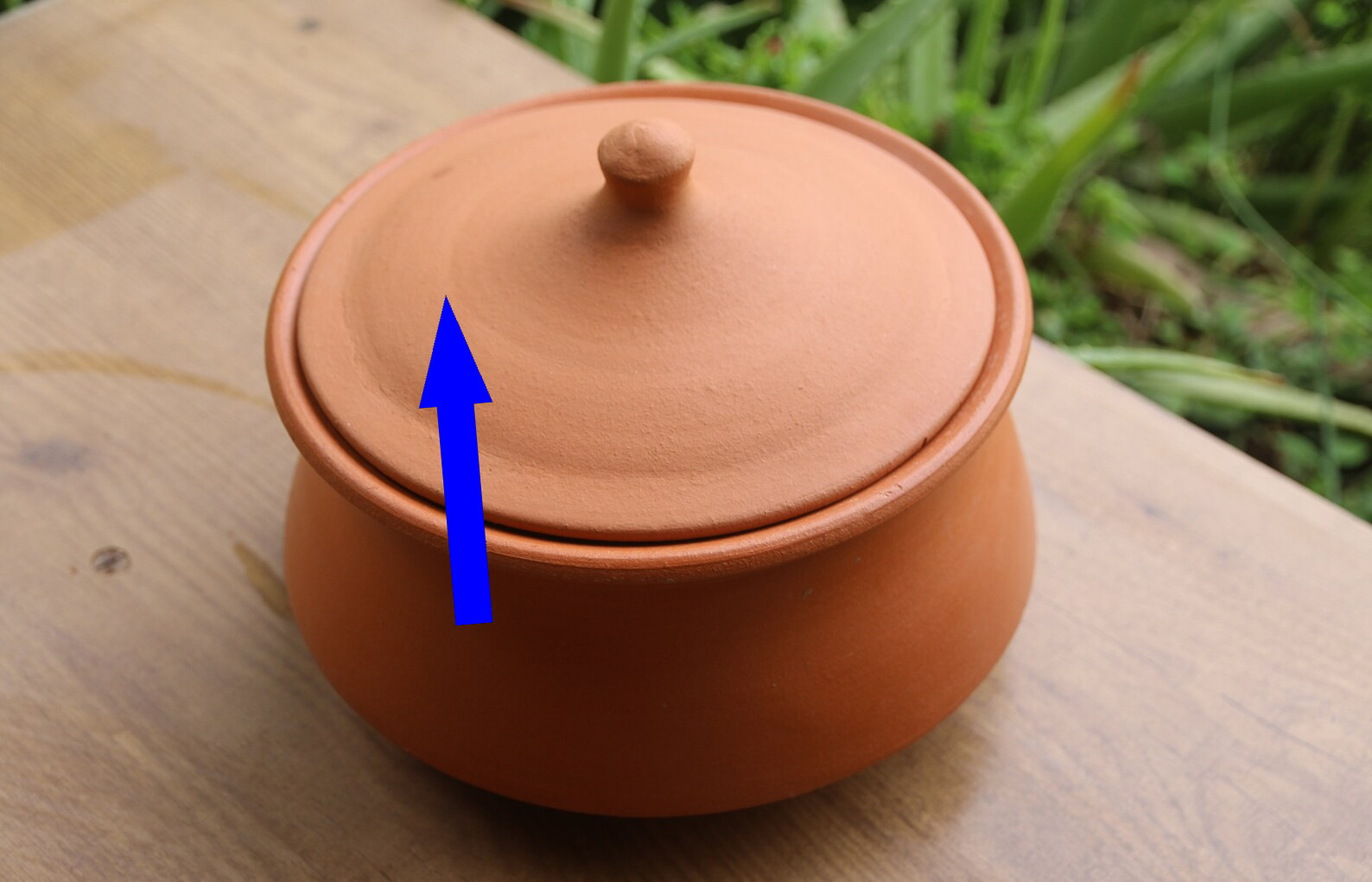 Глиняный горшок на индукции разве это возможно