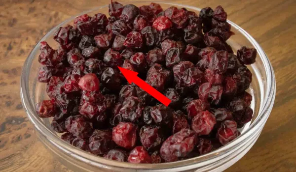 Секрет вологодских левашей – сушеные ягоды вместо конфет