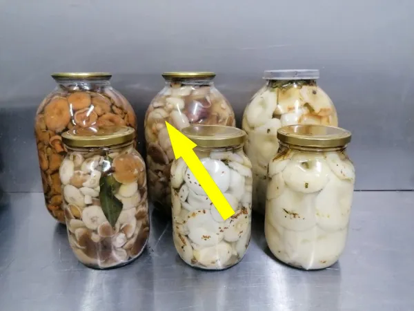 Секрет бабушкиных солёнок с листьями смородины, о котором молчат шефы