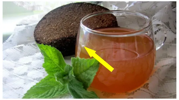 Тайный рецепт бабушкиного кваса с черной смородиной