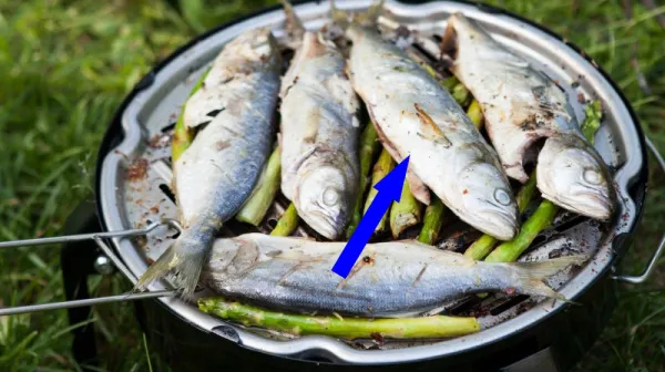 Секрет идеальной форели на углях раскрыт