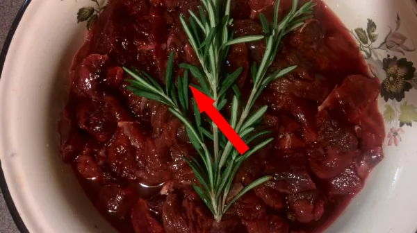 Лосиные котлеты с брусникой — секрет сибирских охотников