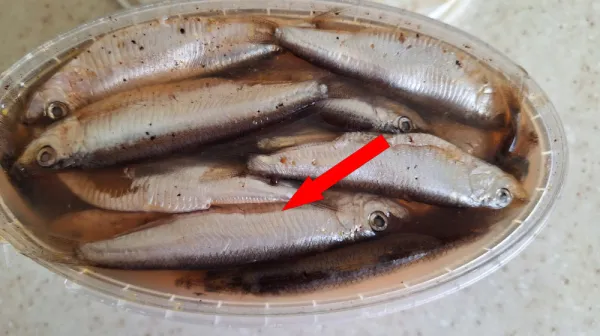 Солёная килька с луком и маслом — ностальгия по СССР в одной тарелке