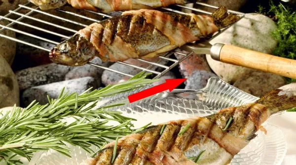Секрет идеальной форели на углях раскрыт шеф-поваром