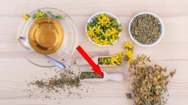 Этот забытый травяной чай лечит лучше таблеток