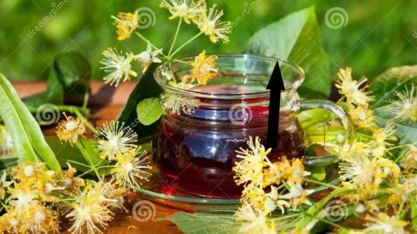 Бабушкин секрет липового чая с мёдом, который лечит душу