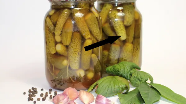 Секретные рецепты хрустящих соленых огурцов, которые не стыдно подать гостям