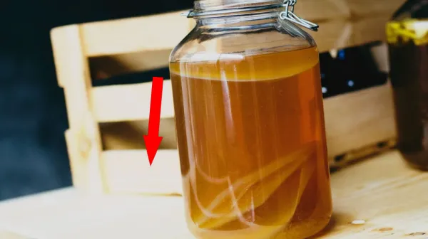 Этот странный гриб заменит тебе всю аптечку